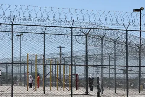 Punjabi Grandmother's Arrest by US Immigration Officials Ignites Community Outrage